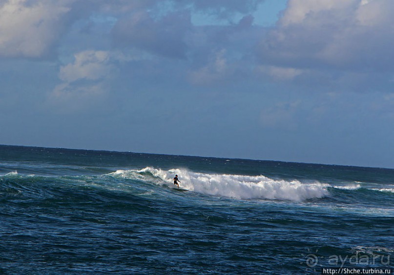 На гребне волны