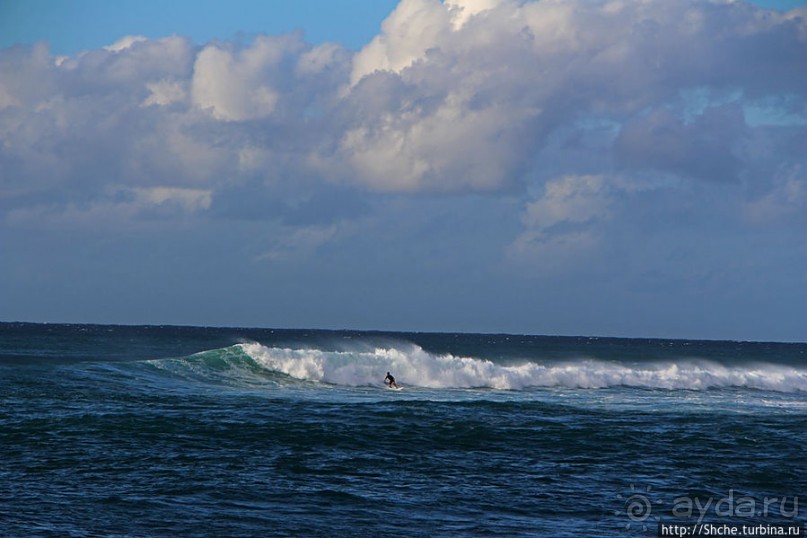 На гребне волны