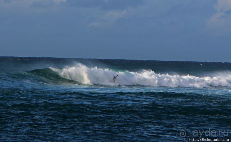 На гребне волны