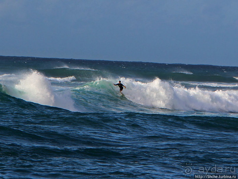 На гребне волны