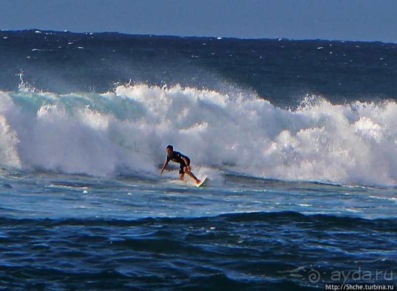 На гребне волны