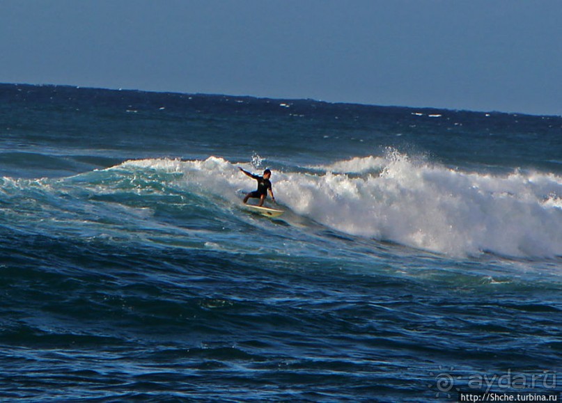На гребне волны