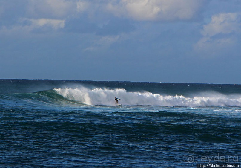 На гребне волны