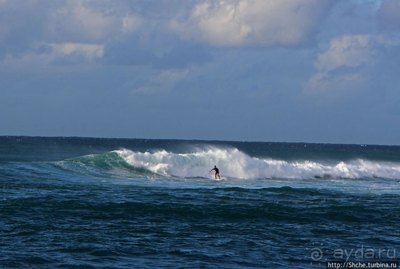 На гребне волны