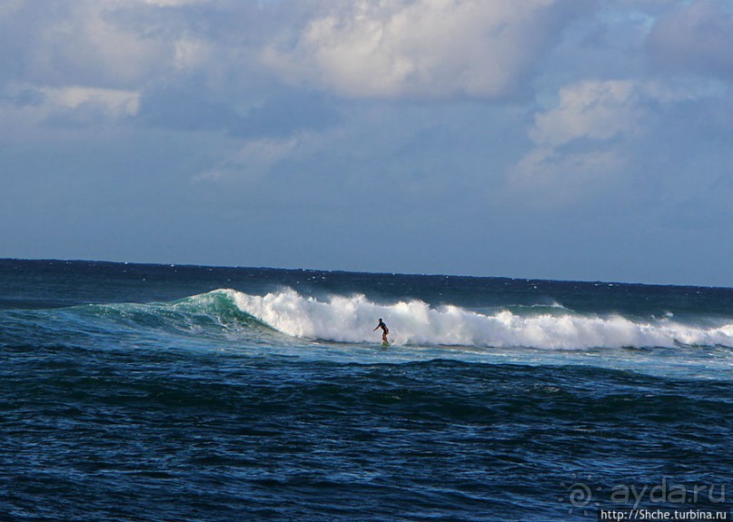 На гребне волны