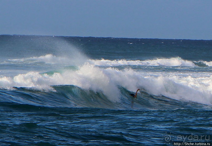 На гребне волны