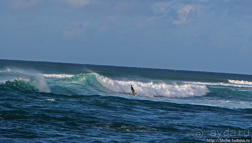 На гребне волны