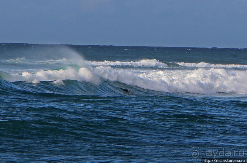 На гребне волны