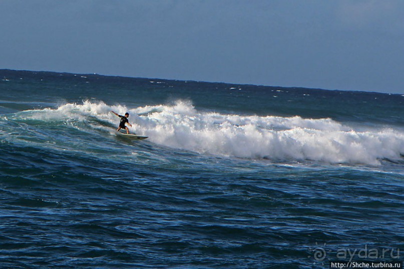 На гребне волны