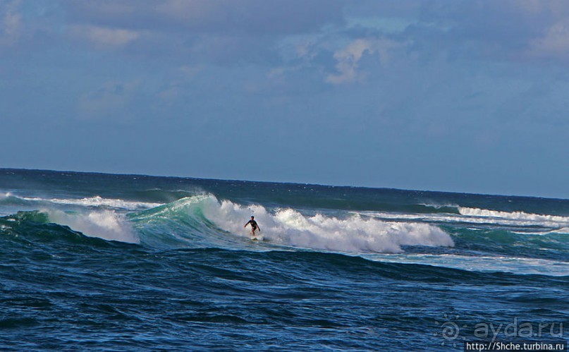 На гребне волны