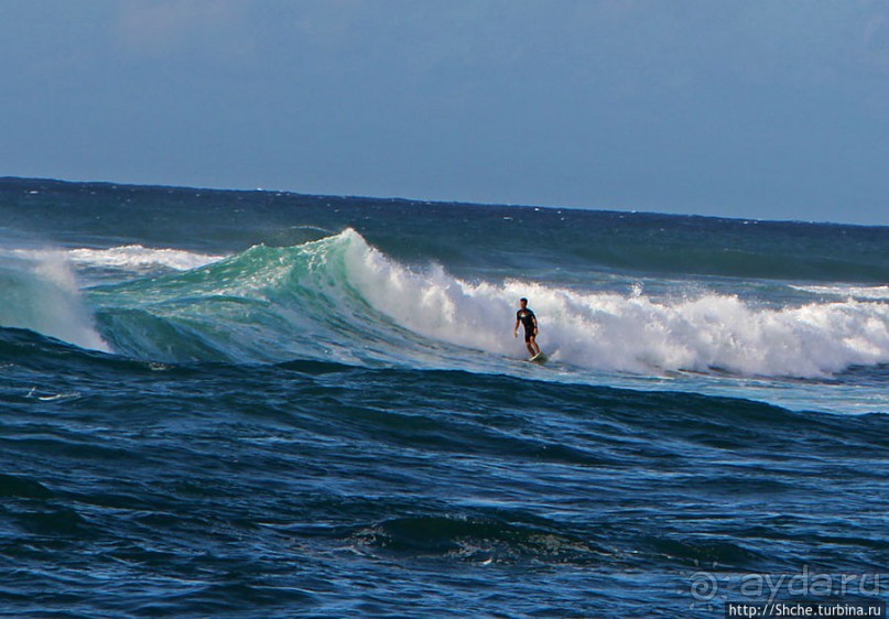 На гребне волны
