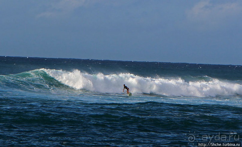 На гребне волны