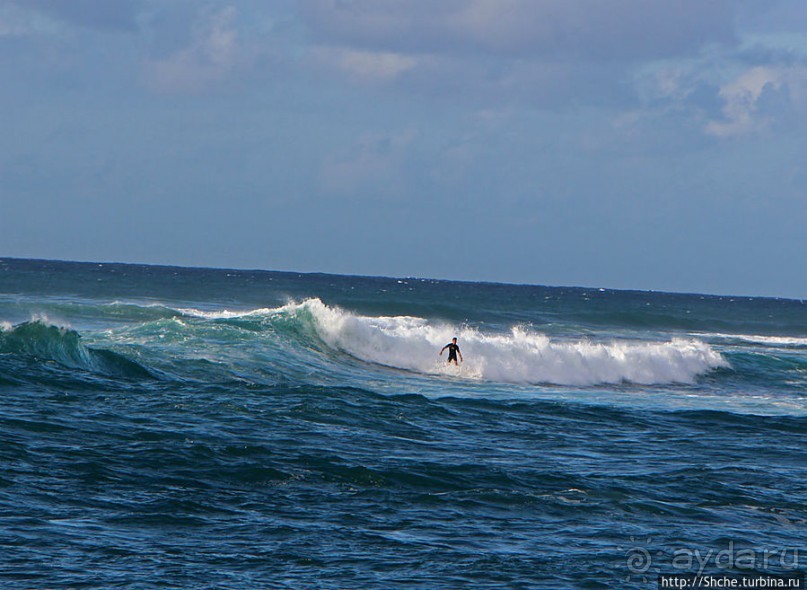 На гребне волны