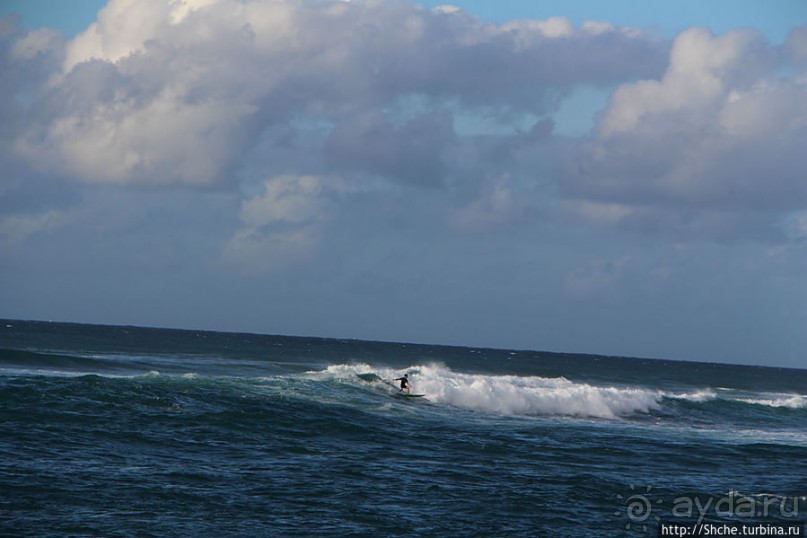 На гребне волны