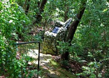 А-а, и зеленый... обезьян