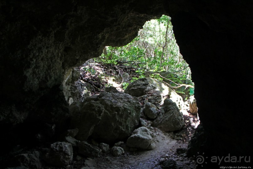 А-а, и зеленый... обезьян