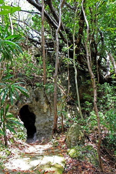 А-а, и зеленый... обезьян