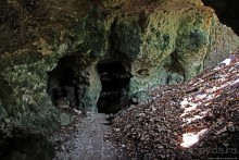 А-а, и зеленый... обезьян