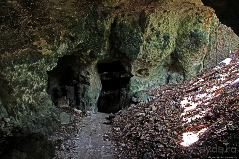 А-а, и зеленый... обезьян