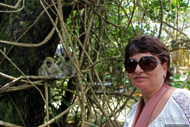 А-а, и зеленый... обезьян