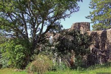 Бани Фасилидаса — королевские купальни правителей Гондера