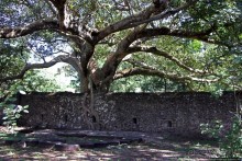 Бани Фасилидаса — королевские купальни правителей Гондера