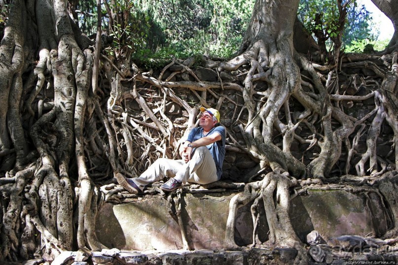 Бани Фасилидаса — королевские купальни правителей Гондера