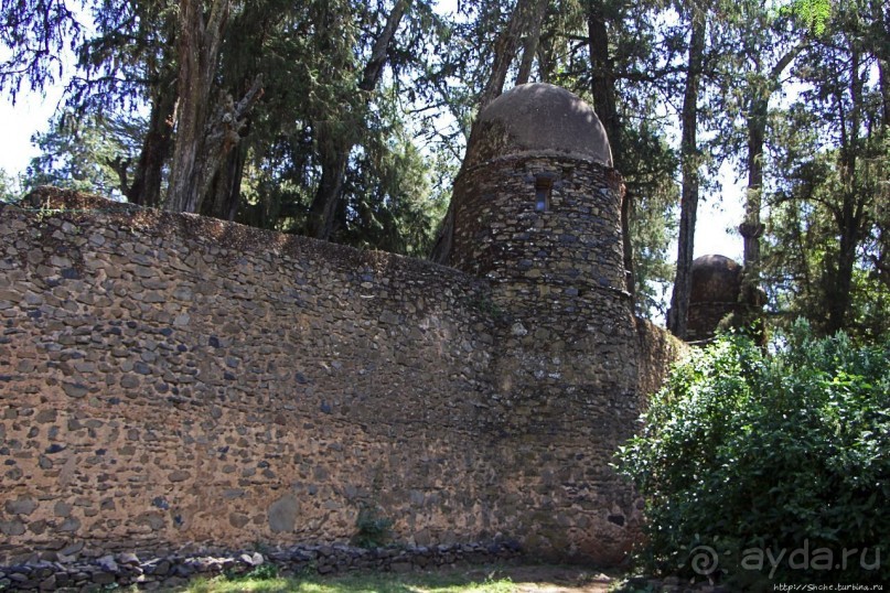 Бани Фасилидаса — королевские купальни правителей Гондера