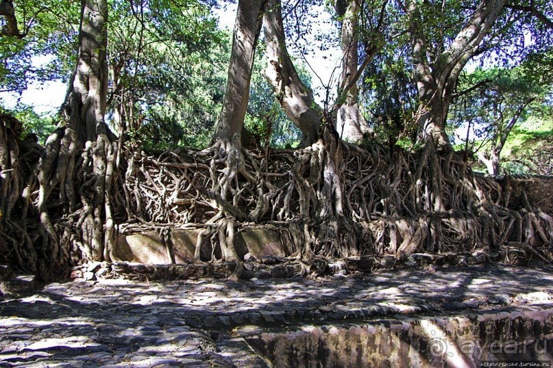 Бани Фасилидаса — королевские купальни правителей Гондера