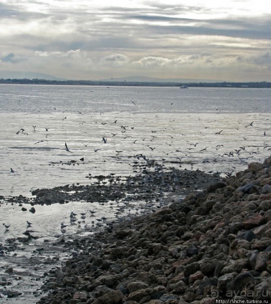 Торговая площадь (Praça do Comércio) — сердце Лиссабона