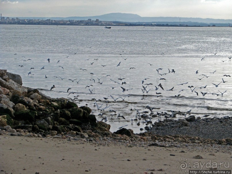 Торговая площадь (Praça do Comércio) — сердце Лиссабона