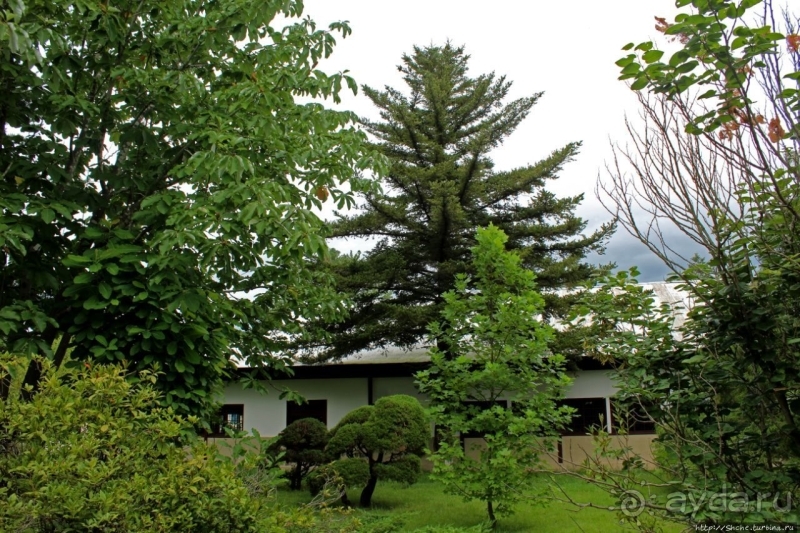 Демилитаризованная зона. Место переговоров и подписания мира