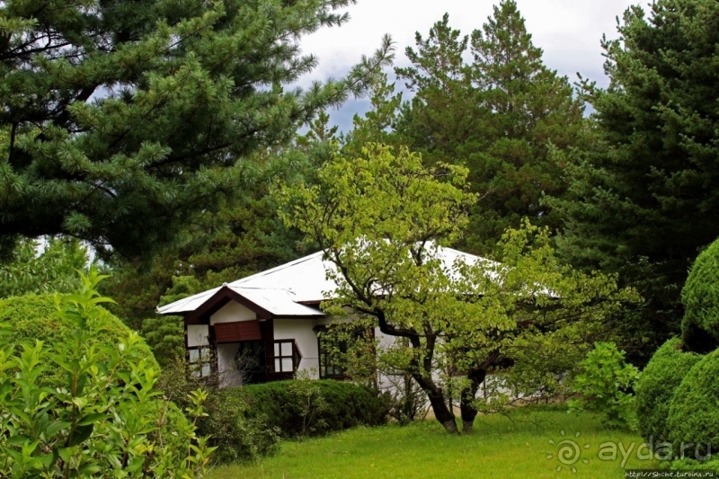 Демилитаризованная зона. Место переговоров и подписания мира