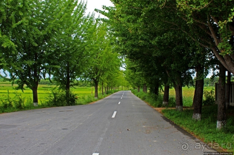 Демилитаризованная зона. Место переговоров и подписания мира