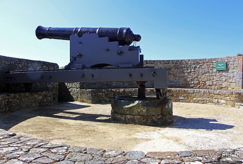 Верный Корнет