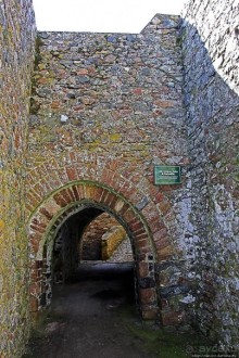 Верный Корнет