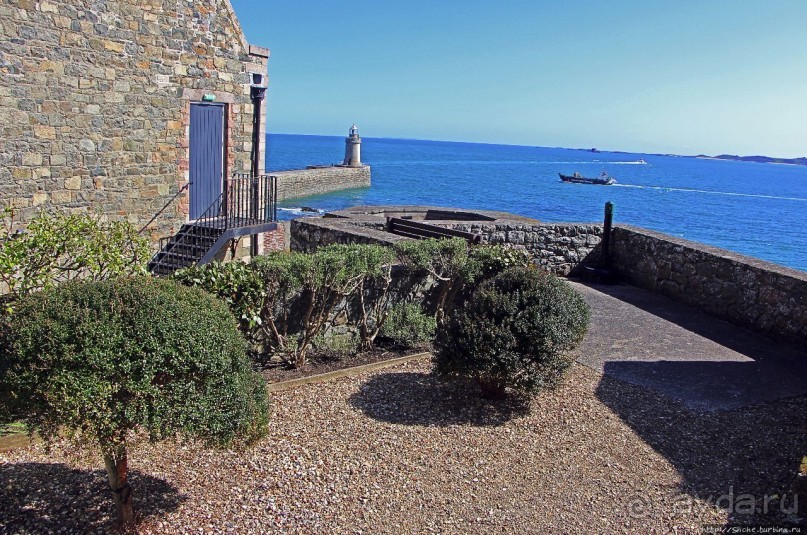 Верный Корнет