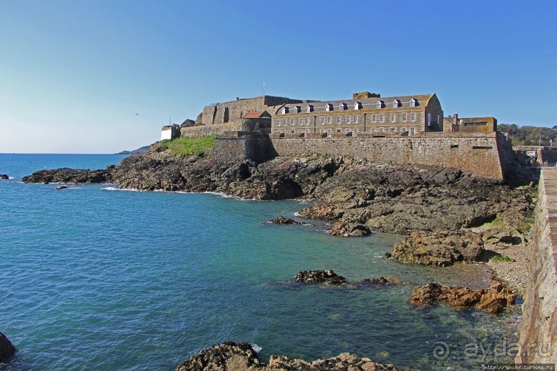 Верный Корнет