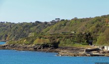 Верный Корнет