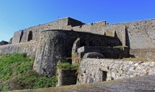 Верный Корнет