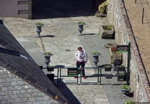 Верный Корнет