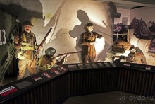 Верный Корнет