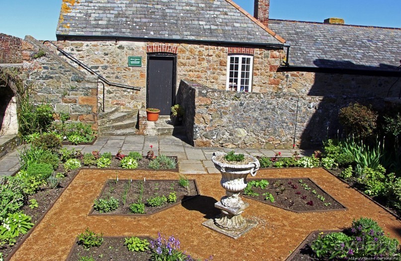 Верный Корнет