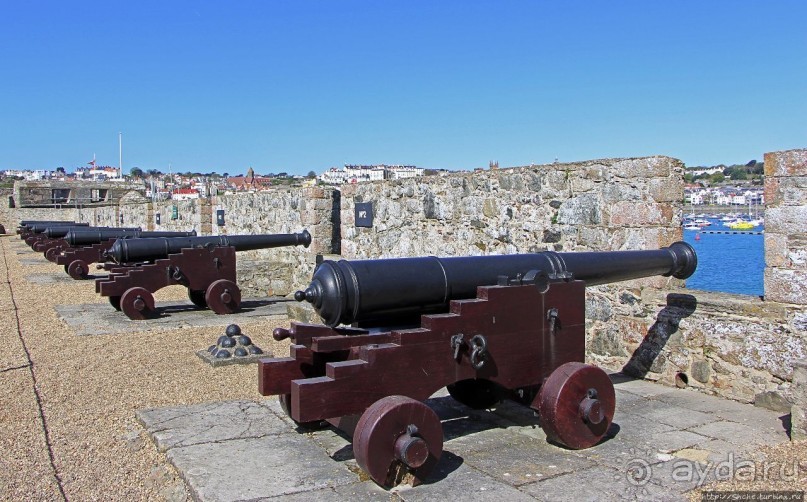 Верный Корнет