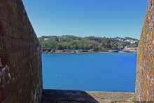 Верный Корнет