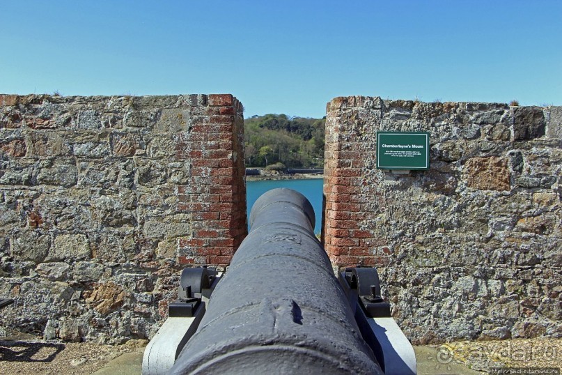 Верный Корнет