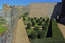 Верный Корнет