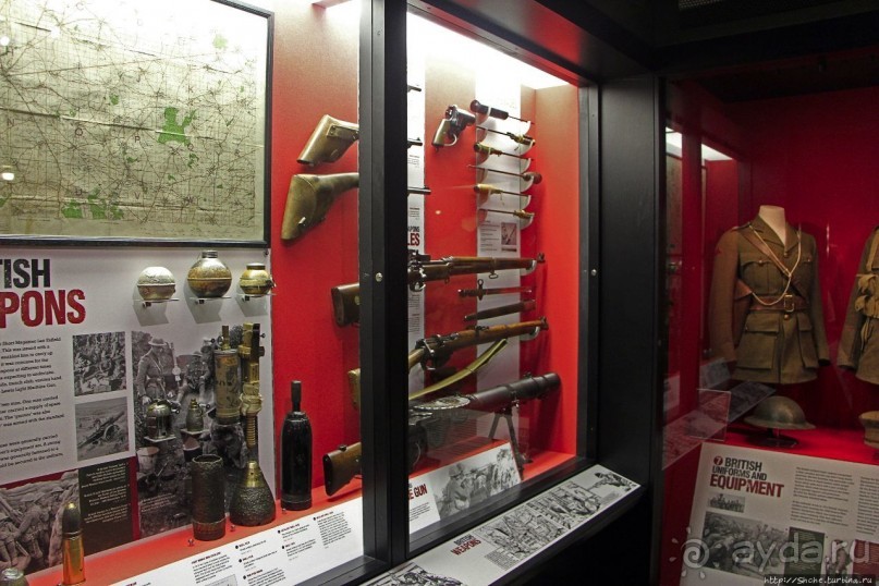 Верный Корнет