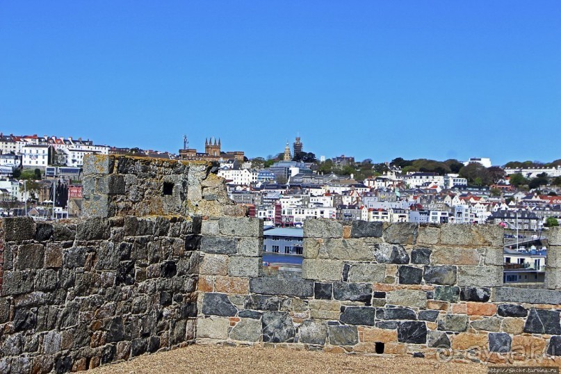 Верный Корнет