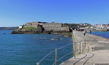 Верный Корнет